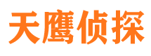 濠江市侦探公司